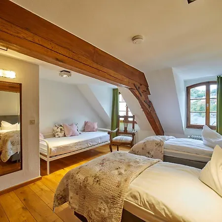 Apartment Quellenhof - Wohnen Im Denkmal - 